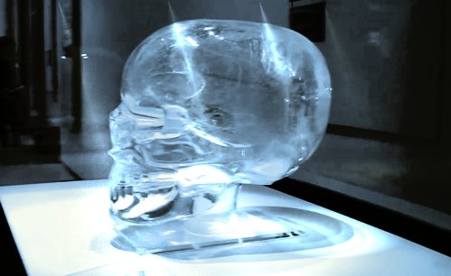 skull