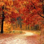 autunno