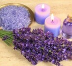 Spargere lavanda in un ambiente, è l’aroma della fiducia