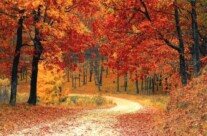 Oroscopo: come sarà l’autunno dei 12 Segni