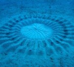 Il mistero dei cerchi sul fondo del mare Adriatico