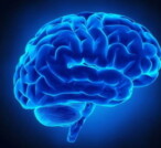 Cervello, cosa avviene in punto di morte